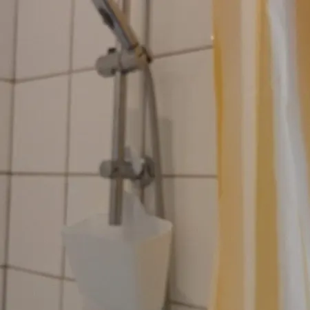 L'oiseau Rieur Darbres