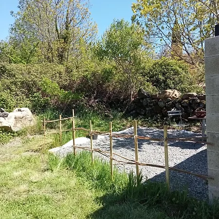 L'oiseau Rieur *